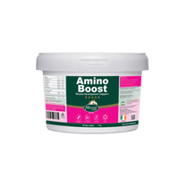 Amino boost