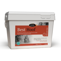 Best hoof