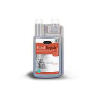 HOOF REPAIR