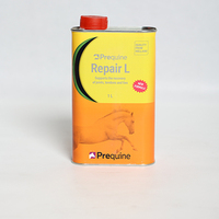 repair l